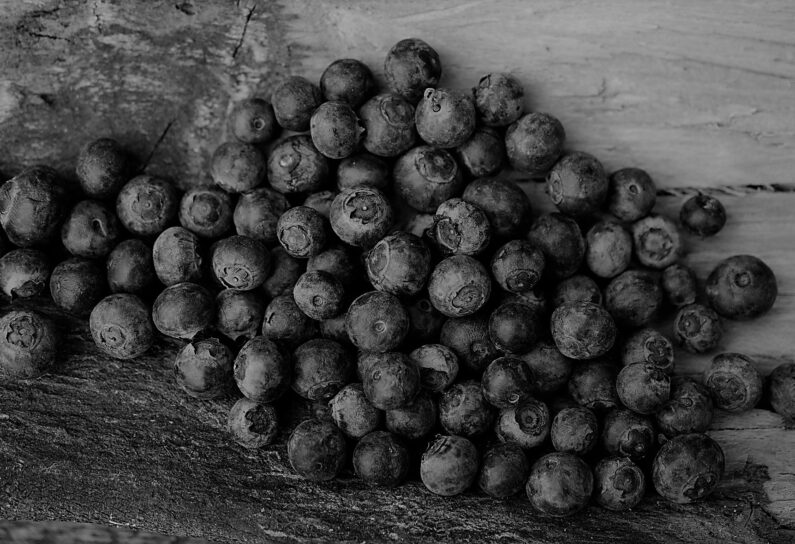 blueberries-2270379_1920